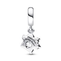 Charm Pandora Donna Pandora Moments in Argento Zirconia 792247C01 - 792247C01